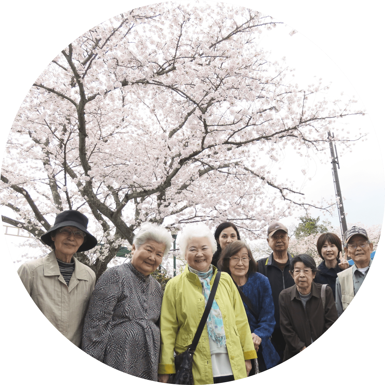 お花見・紅葉狩り